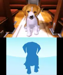 Image n° 1 - screenshots : Petz Beach